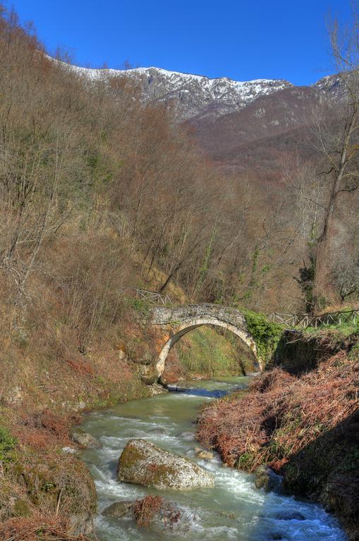 Agriturismo Dai Marchesin Nasino ภายนอก รูปภาพ